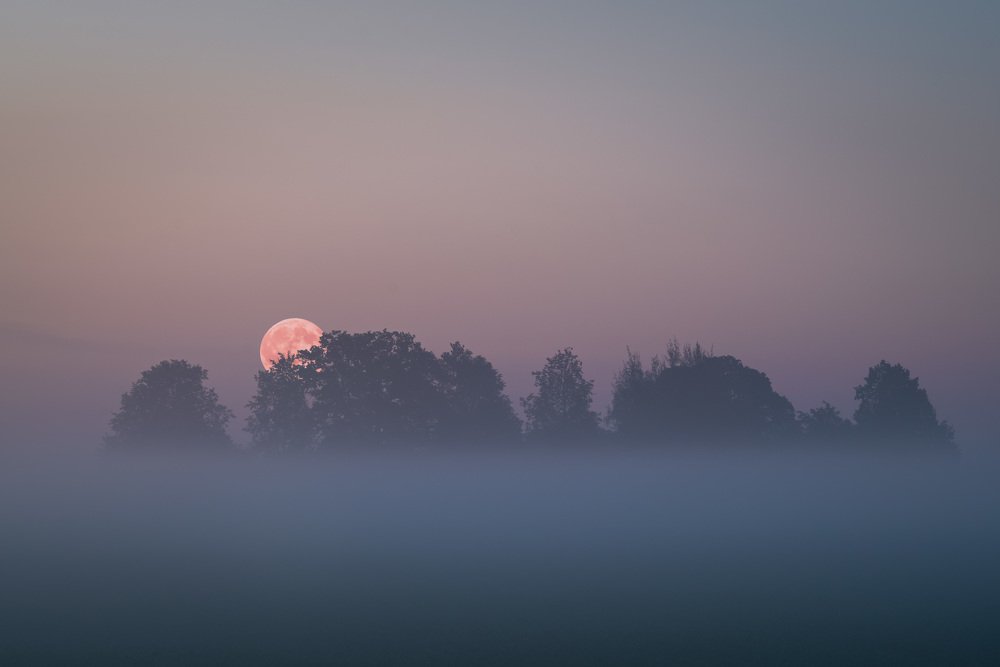 Photograph by Jānis Paļulis