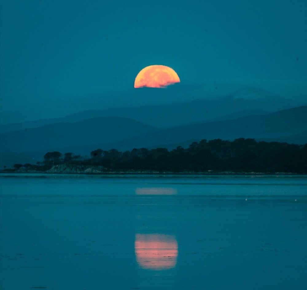 Photograph by Shane P