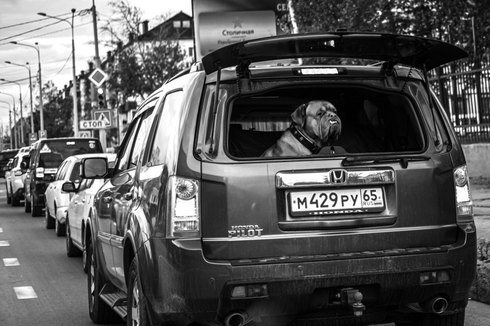 Фотография автора Денис Винарь