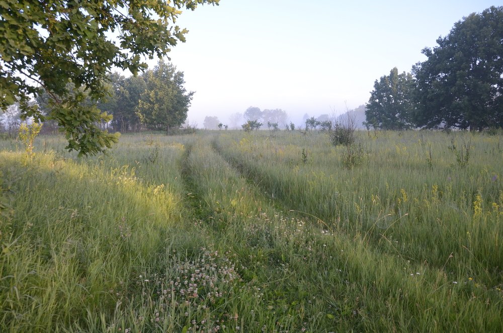 Фотография автора Владимир Брызгунов