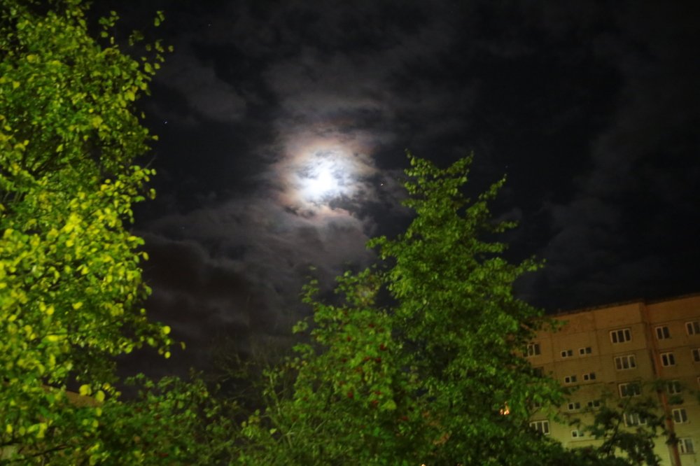 Photograph by Дмитрий Малышев