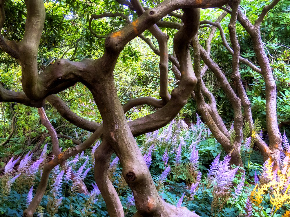 Photograph by Valentin Kirov