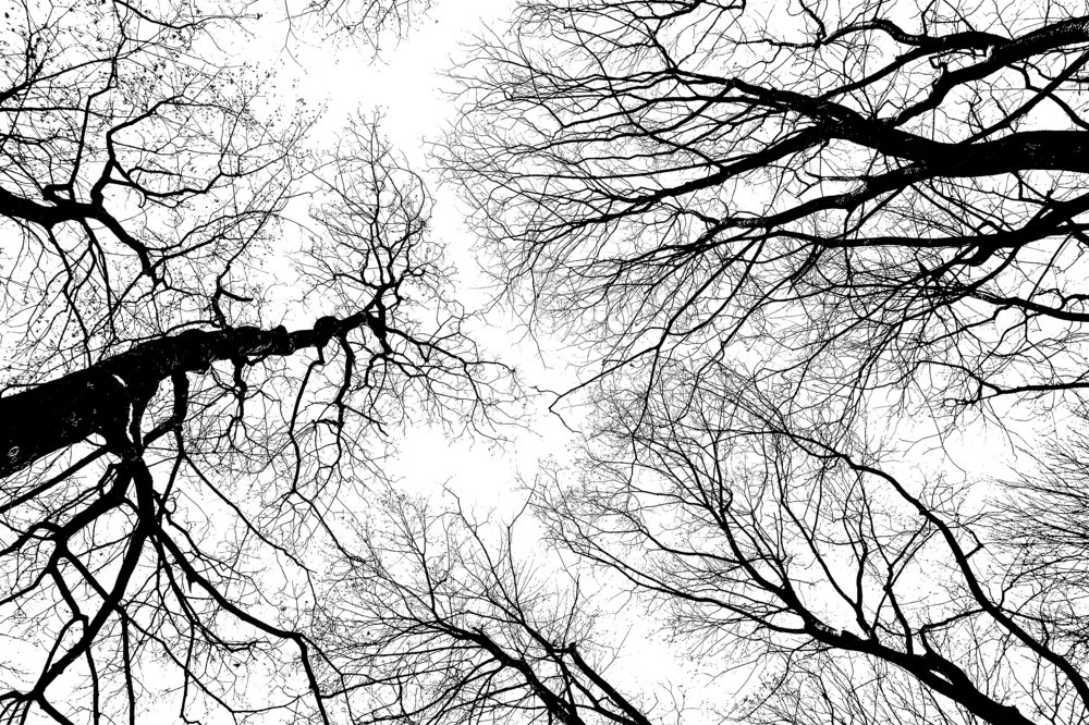 Photograph by Ирина Хожаинова