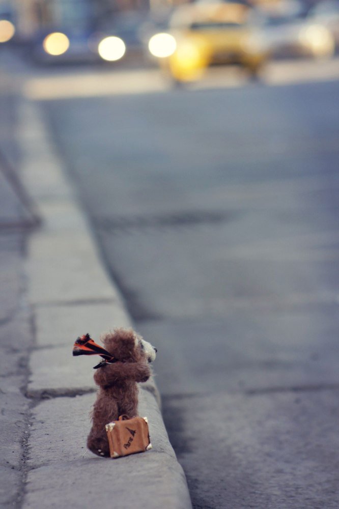 Photograph by Liya Volk