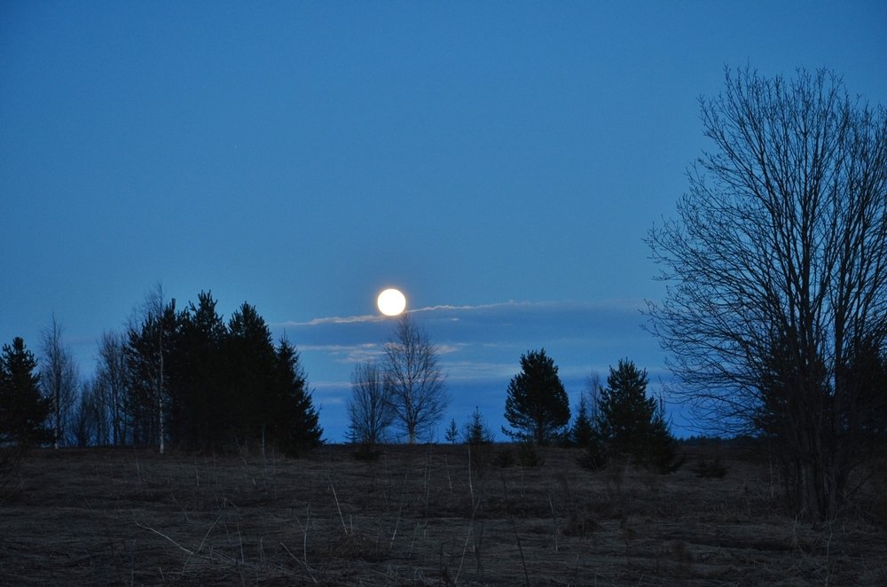 Photograph by Галина Катанова