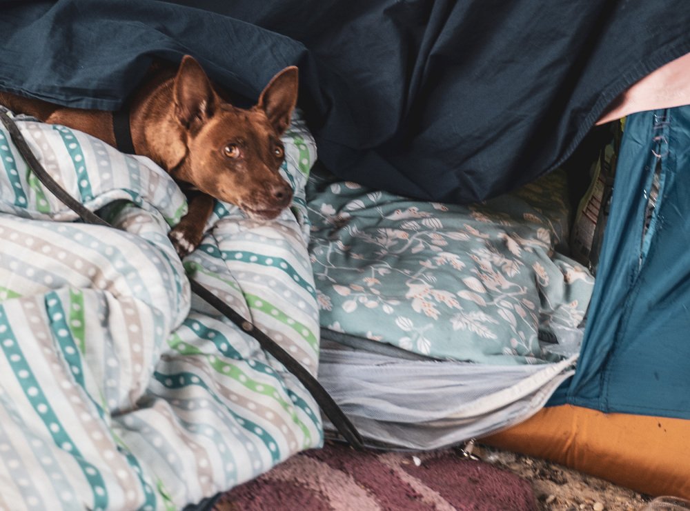 Photograph by Alexander Popov