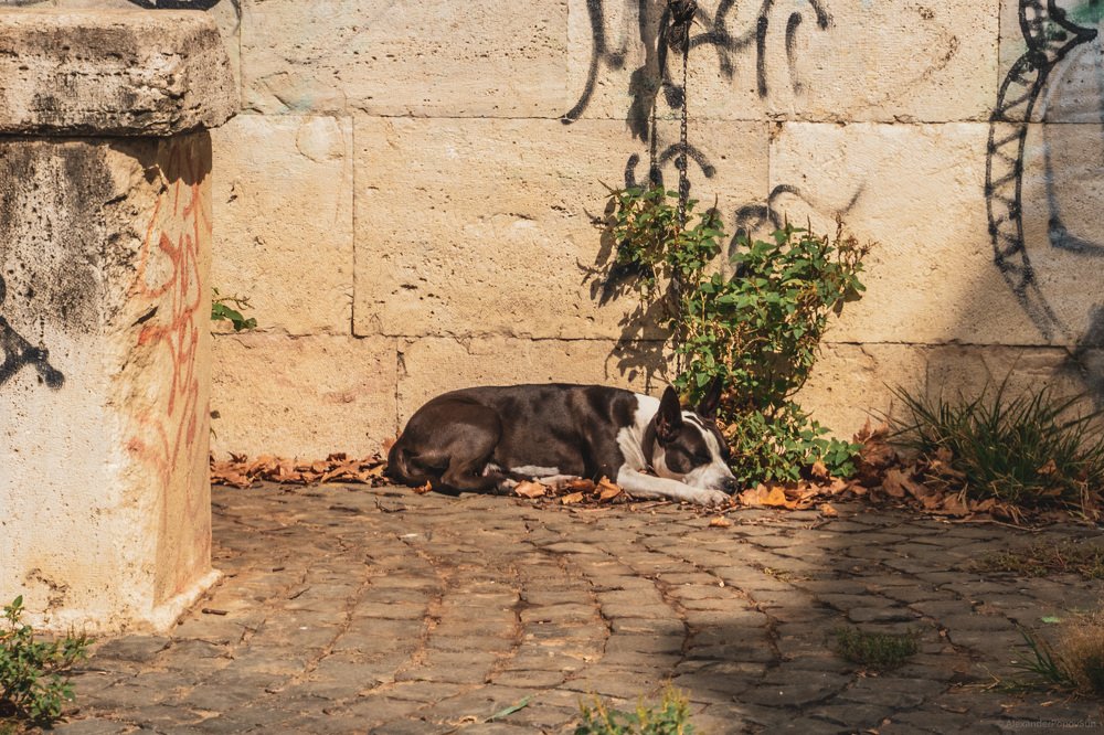 Photograph by Alexander Popov