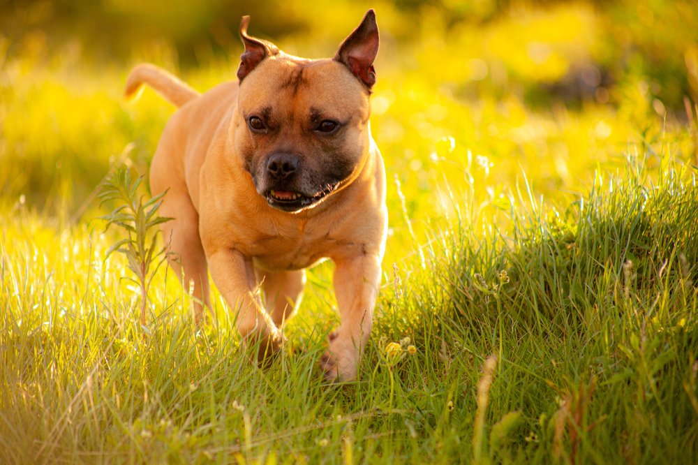 Photograph by Christopher Bjørkli