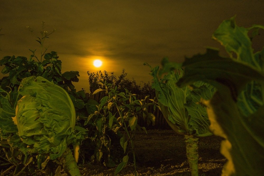 Photograph by Илья Фролов