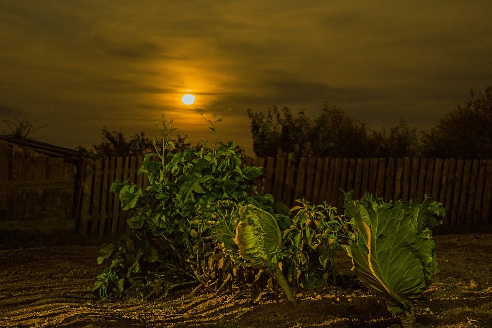 Photograph by Илья Фролов