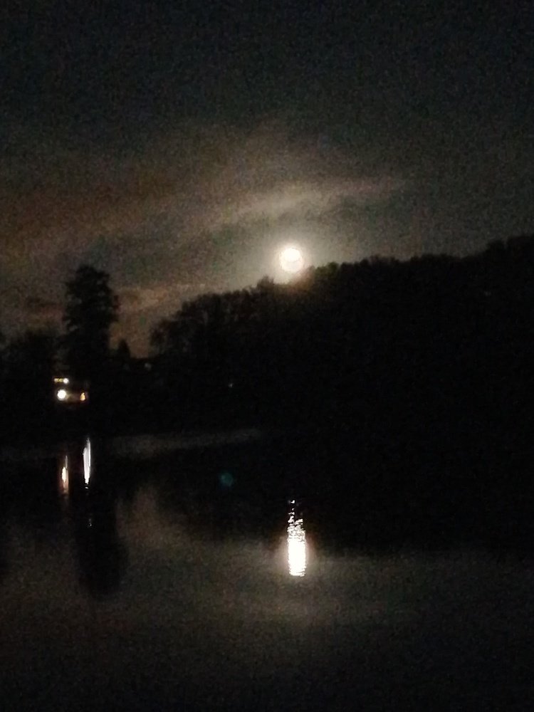 Photograph by Victor Movila