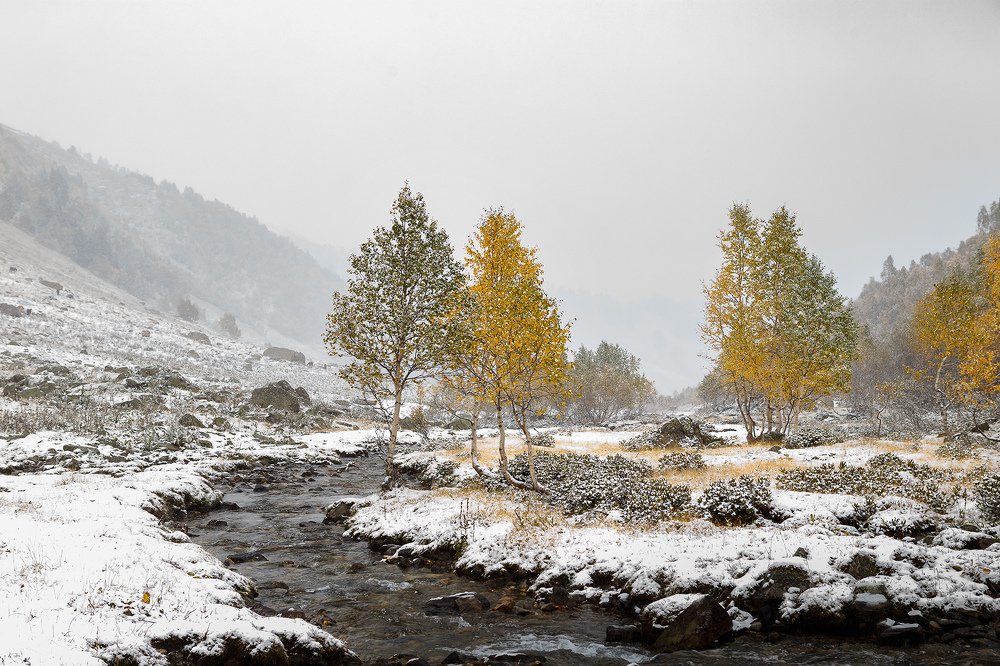 туманно-снежный Архыз