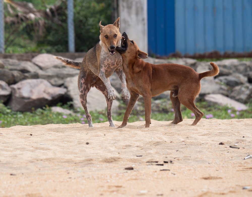 Photograph by Вячеслав Криволуцкий