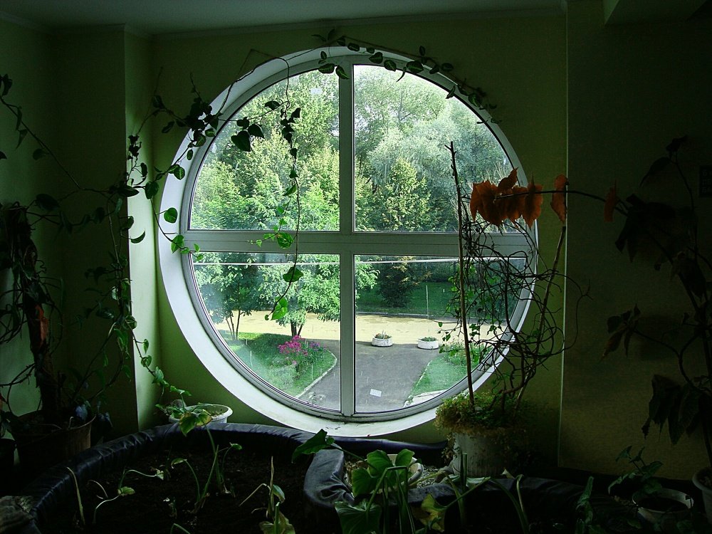 Photo #3702726
