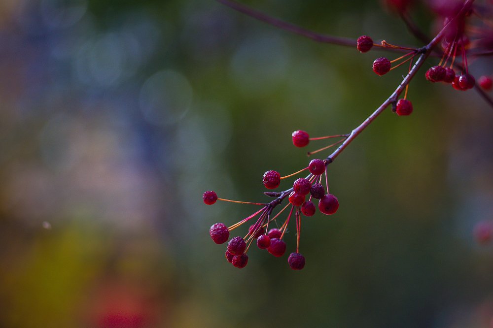 Photograph by Tanya Golosovker