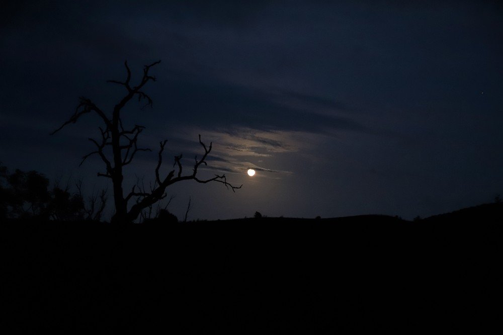 Photograph by Андрей Телибаев