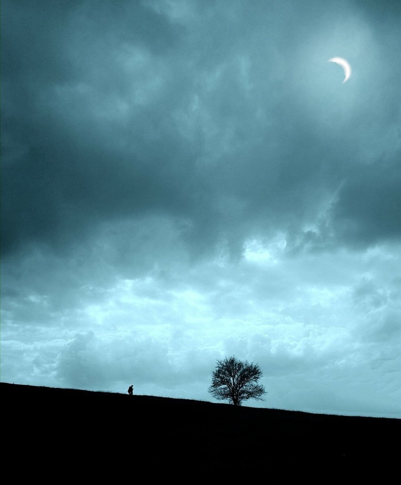 Photograph by Татьяна Чернышова