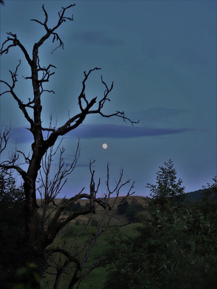 Photograph by Андрей Телибаев