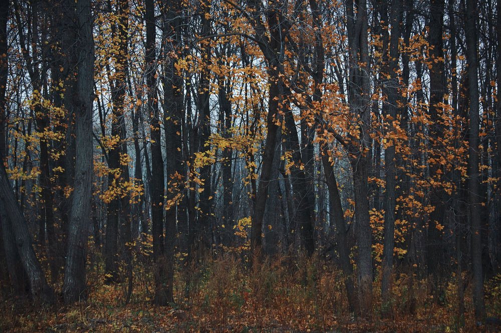 Photograph by Михаил Иванов