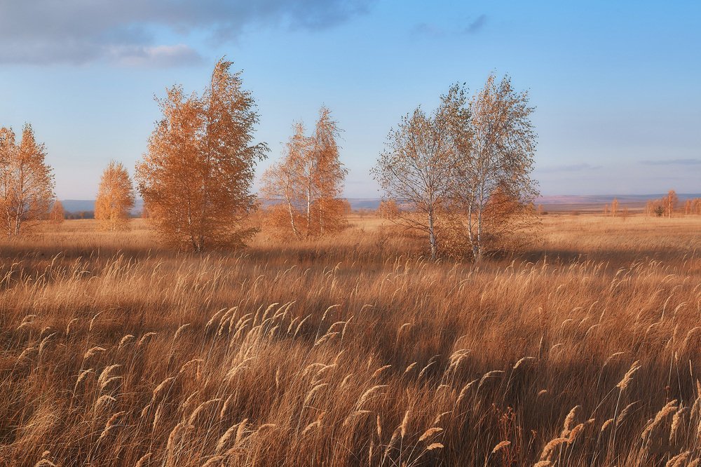 Photograph by Михаил Иванов