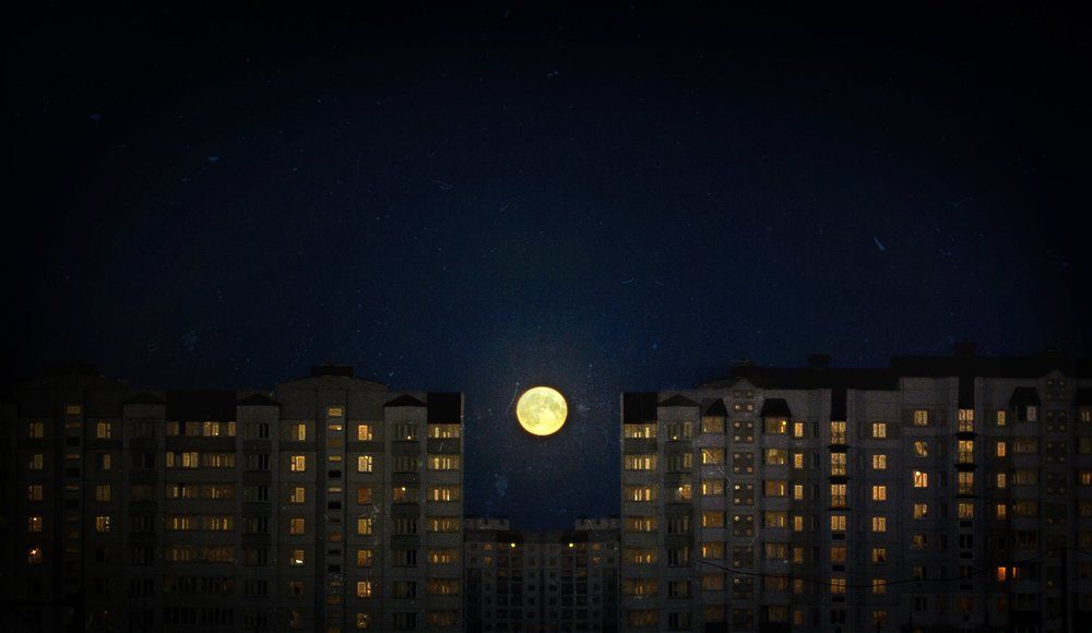 Photograph by Полина Хрол