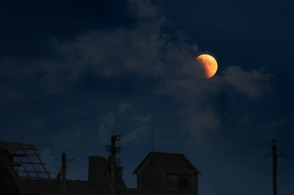 Photograph by Полина Хрол