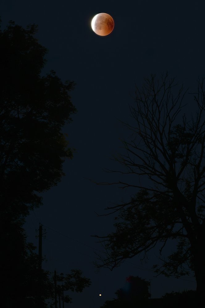 Photograph by Полина Хрол