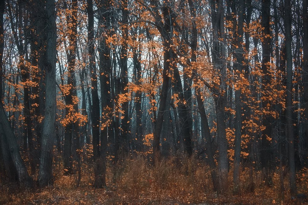 Photograph by Михаил Иванов