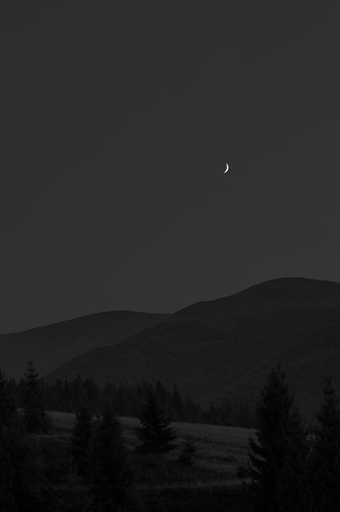 Photograph by Полина Хрол