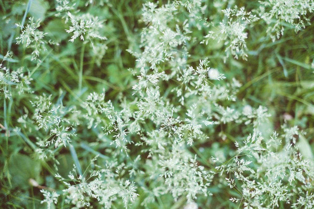 Photograph by Ирина Хожаинова