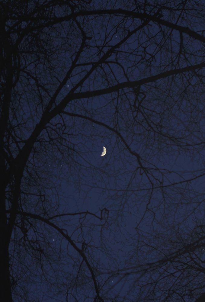 Photograph by Полина Хрол