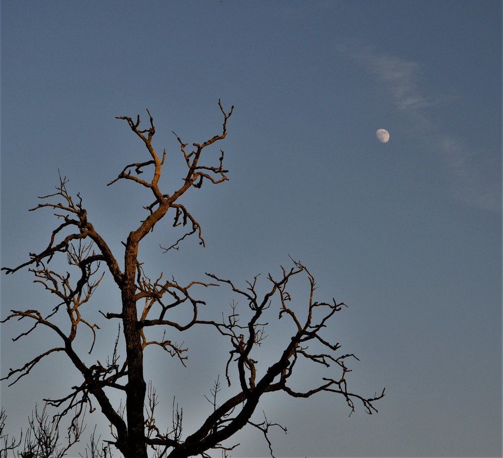 Photograph by Андрей Телибаев