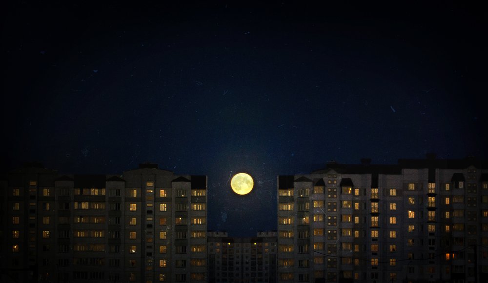 Photograph by Полина Хрол