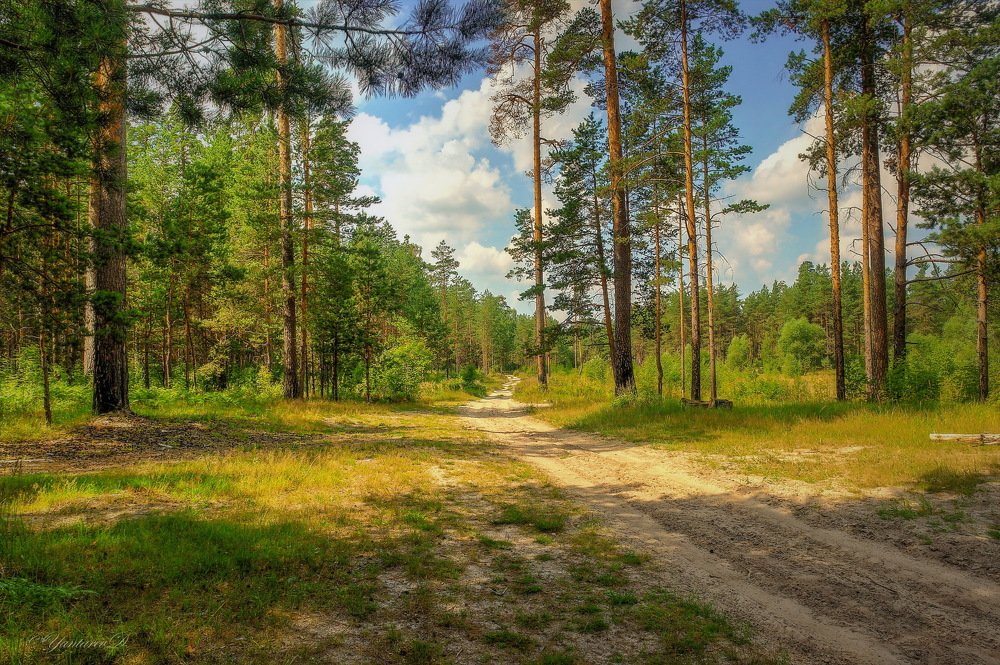 Photograph by Дмитрий Янтарев