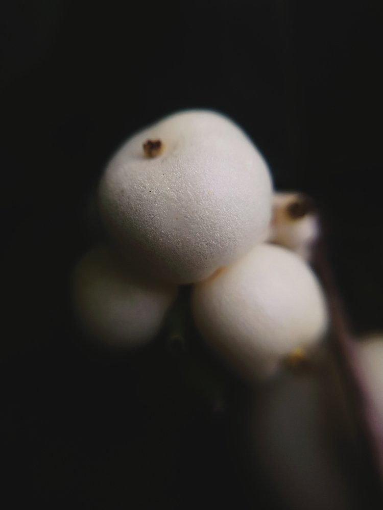 Photograph by Елена Зайцева