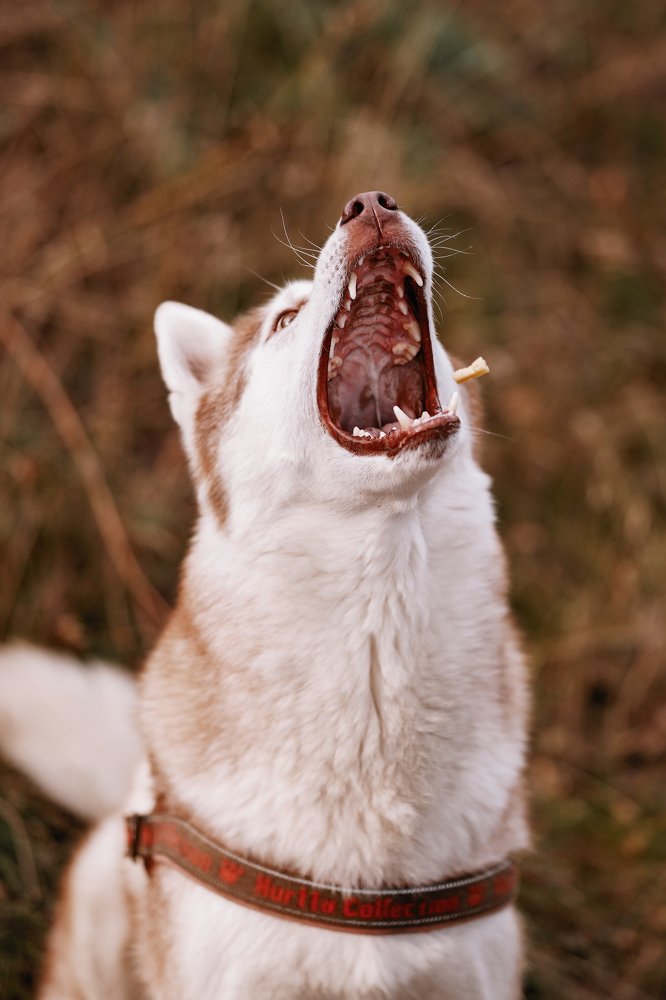 Photograph by Яна Басова