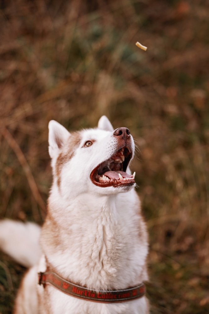 Photograph by Яна Басова