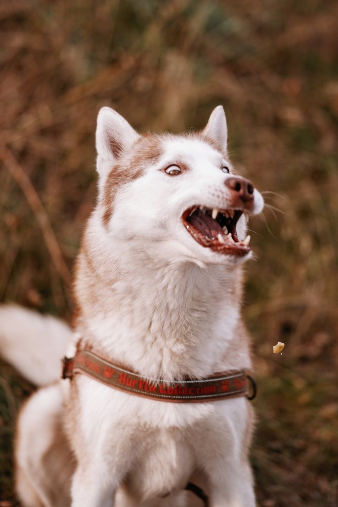 Photograph by Яна Басова