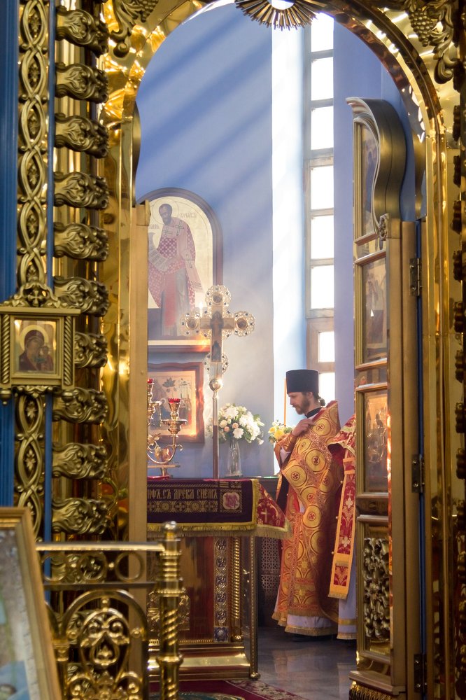 Фотография автора Елена Герасевич