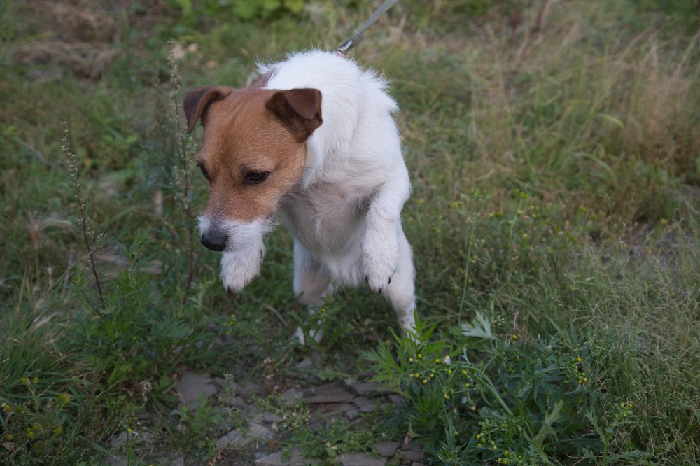 Photograph by Андрей Ходыкин