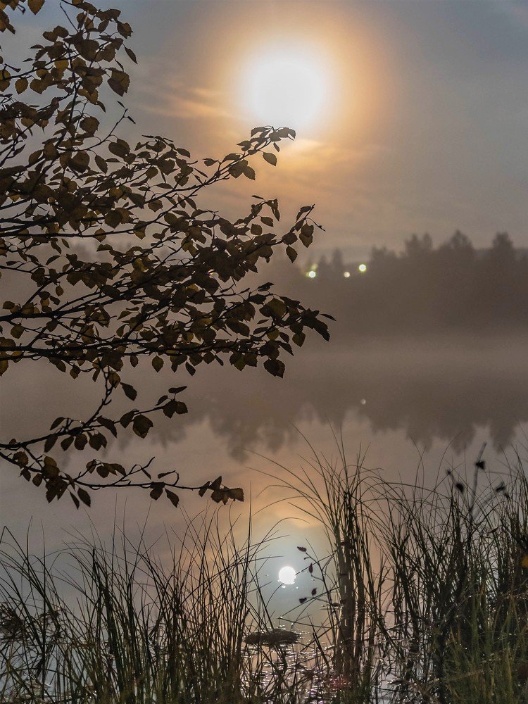 Лунная жемчужина