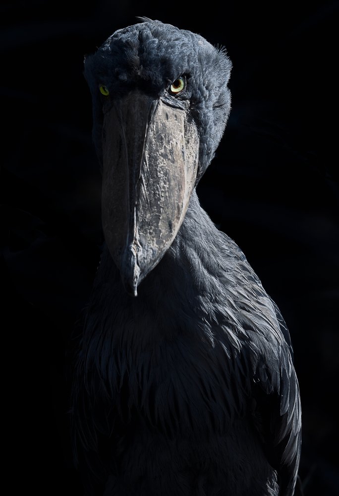 Photograph by servusfoto