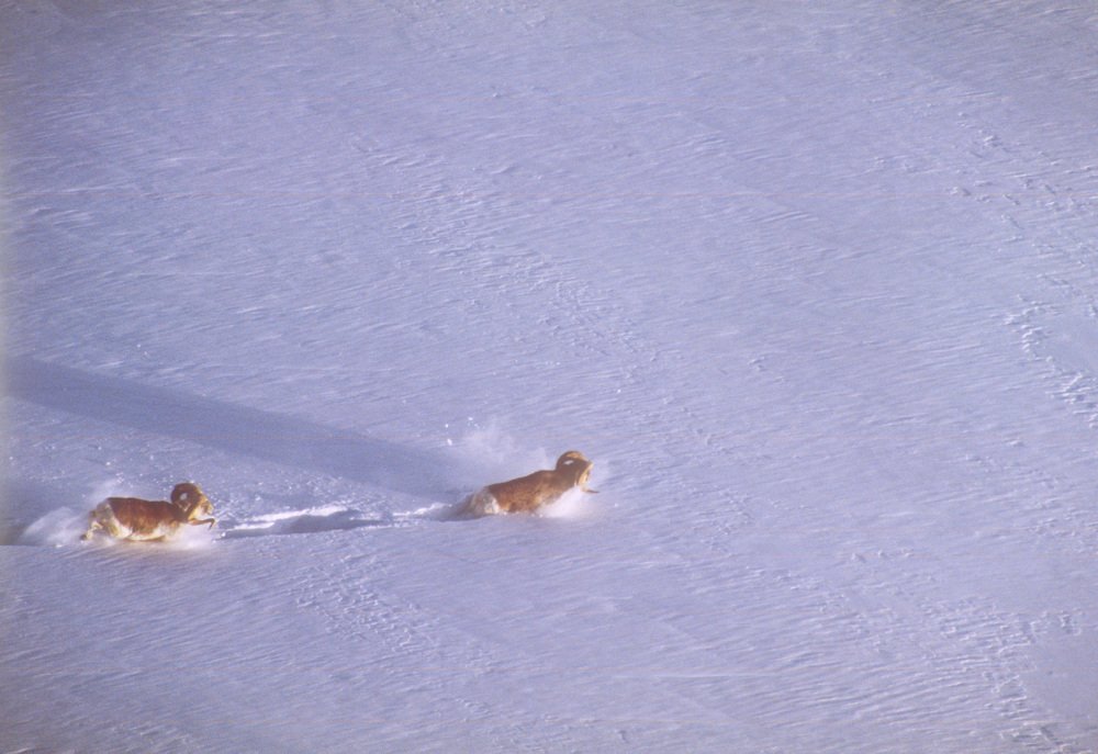 Photograph by Геннадий