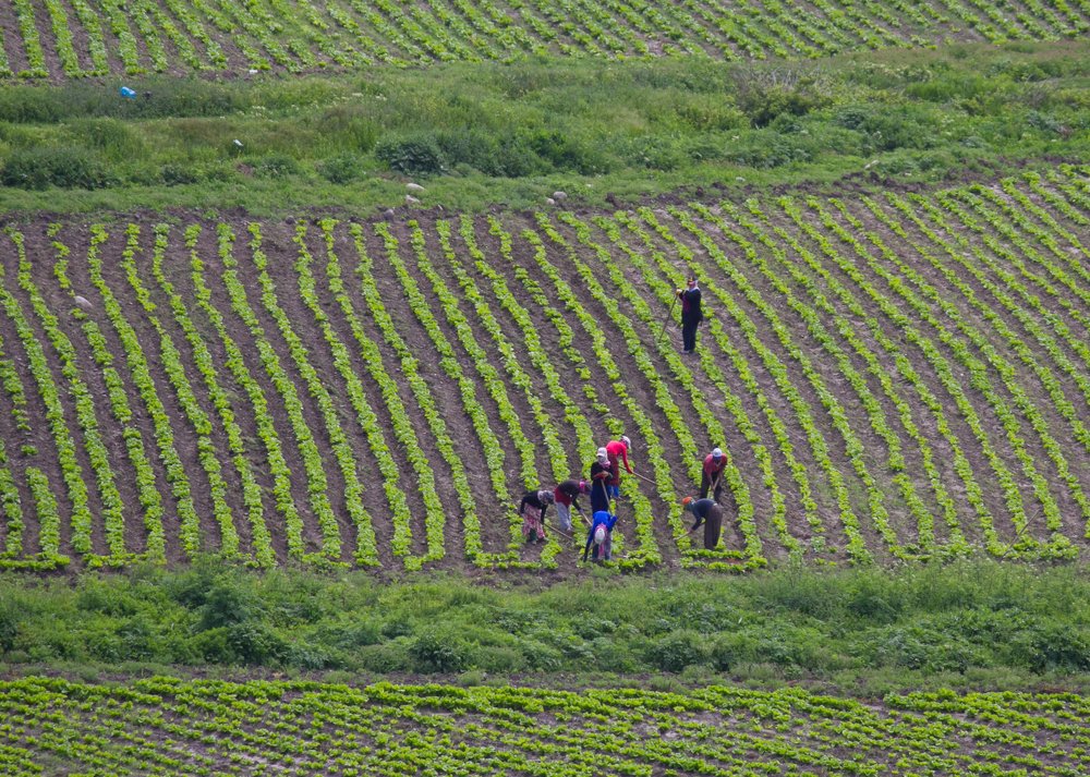 Фотография автора feyzullah Tunç