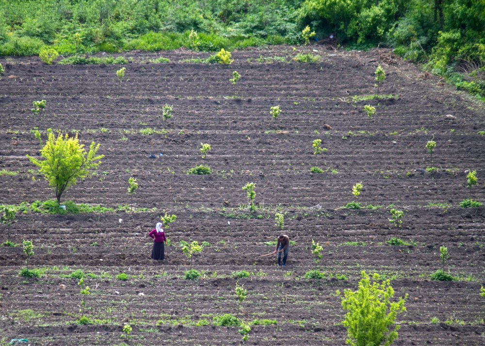 Фотография автора feyzullah Tunç