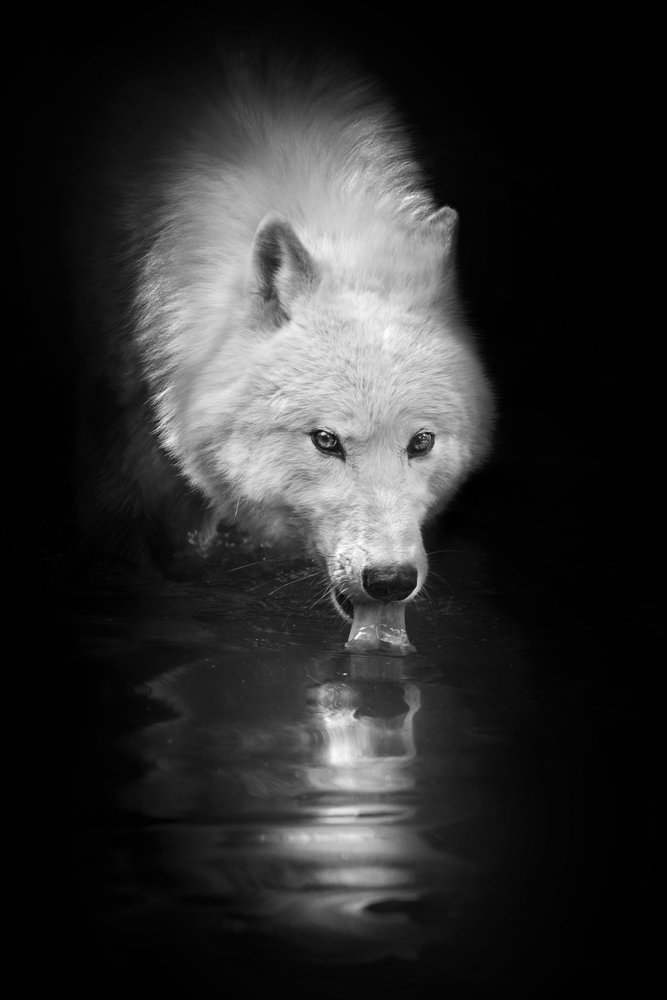 Photograph by Lucia Drietomska