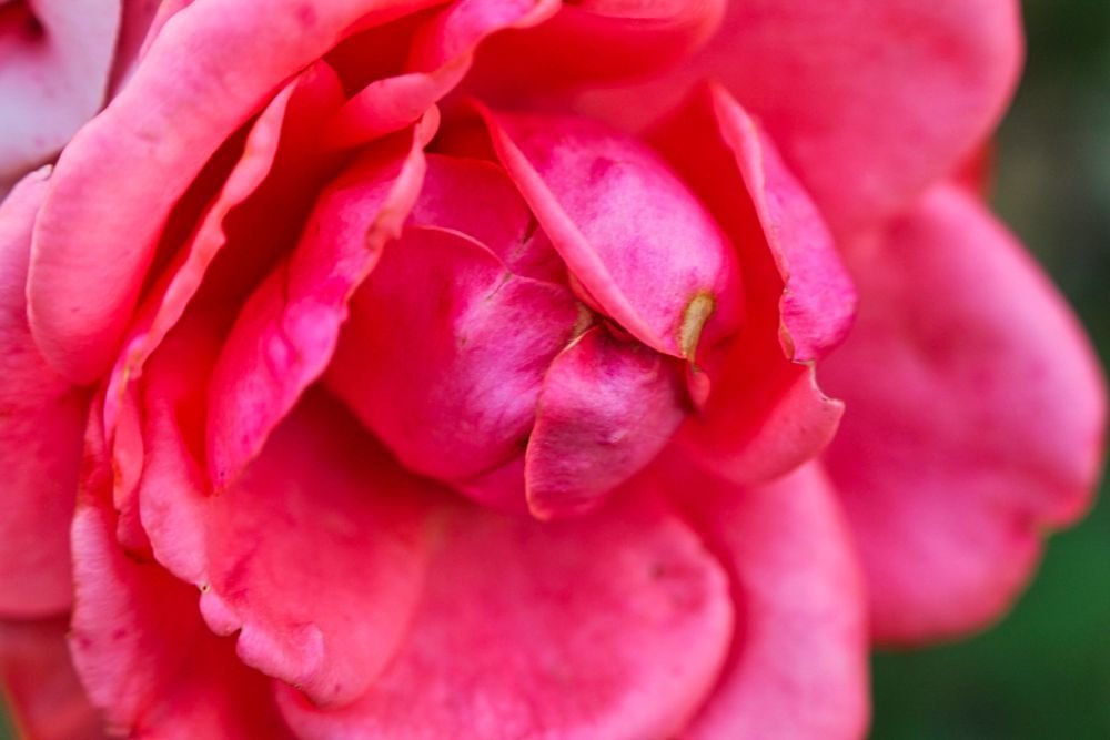 Photograph by Sandor Zoltan Gal