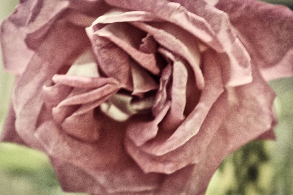 Photograph by Sandor Zoltan Gal