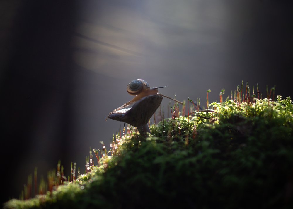 В теплом свете...