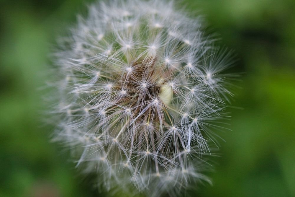 Photograph by Sandor Zoltan Gal